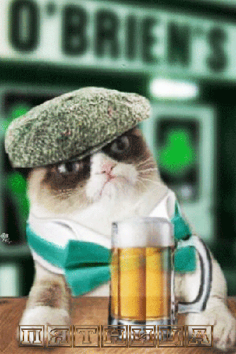 Кот с кружкой пива - с пятницей
