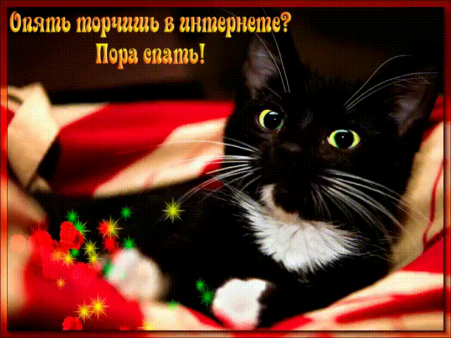 Опять торчишь в Интернете? Пора спать!
