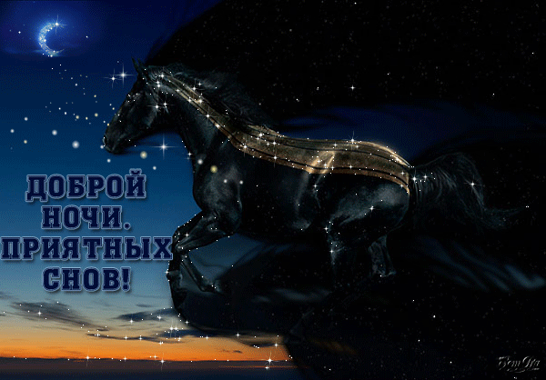 Доброй ночи! Приятных снов!