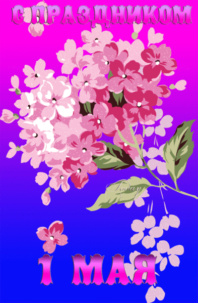 Картинка с цветами с Праздником 1 мая - с 1 Мая, gif, открытки
