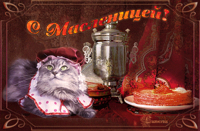 Коту масленица!