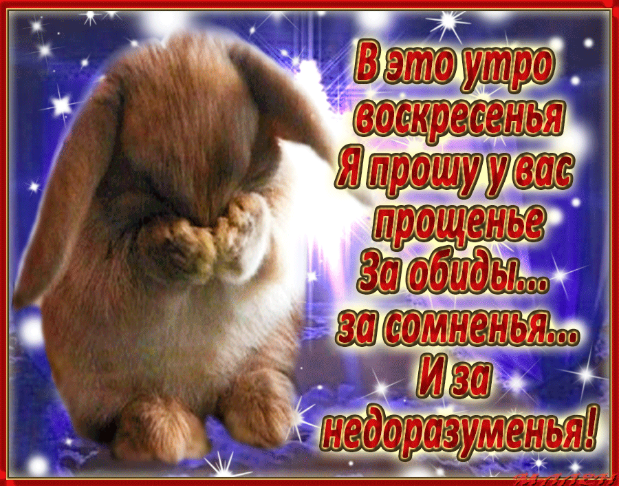 Я прошу прощенья у вас