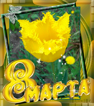 Открытки 8 Марта с желтым тюльпаном - с 8 Марта, gif, открытки