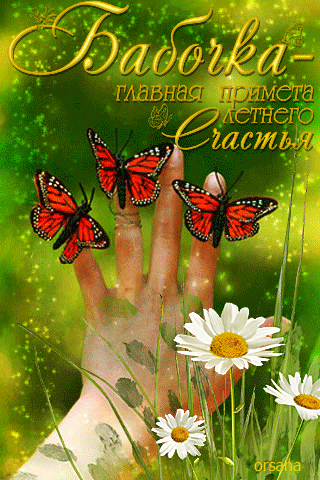 Картинка Бабочка - главная примета летнего Счастья - лето, gif, открытки