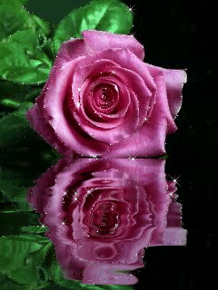 Картинка Розовая роза над водой - цветы, gif, открытки