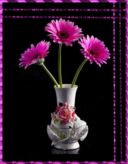 Картинка Три гербера в вазе - цветы, gif, открытки