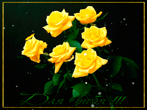 Букет желтых роз для тебя анимация - цветы, gif, открытки