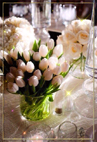 Картинка Букет из белых тюльпанов - цветы, gif, открытки