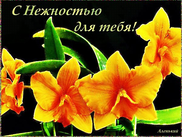 Желтые лилии, с нежностью для Тебя! - цветы, gif, открытки