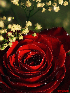 Блестяшка Живая роза - цветы, gif, открытки