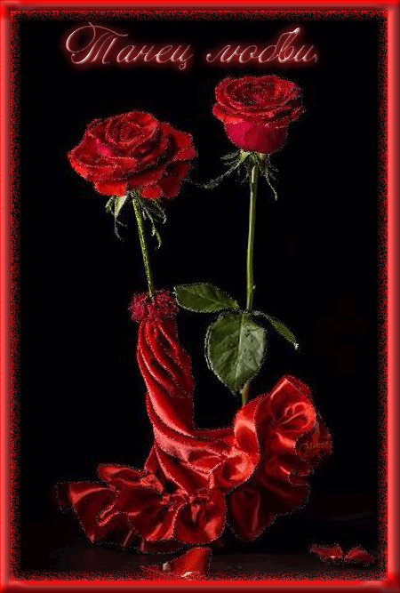 Две розы - танец любви - цветы, gif, открытки