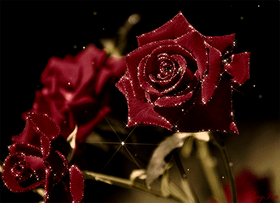 Самой милой розы открытки Красивые букеты роз анимация девушке