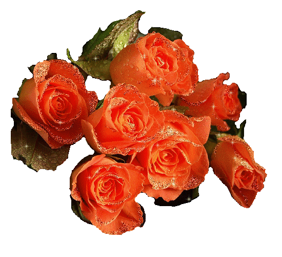 Букет оранжевых роз