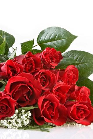 Красные розы - цветы, gif, открытки
