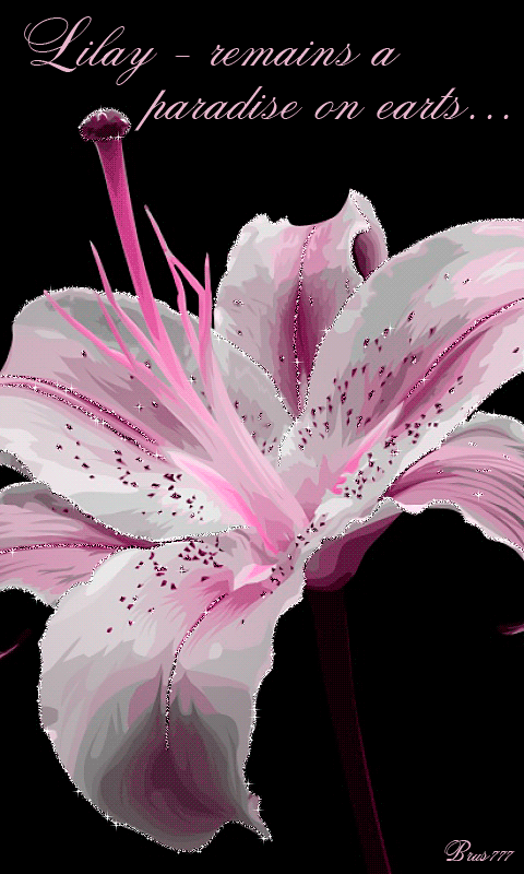 Картинка Розовая лилия - цветы, gif, открытки