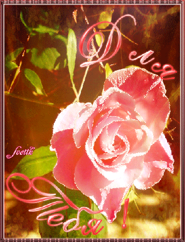 Живая роза для тебя - цветы, gif, открытки
