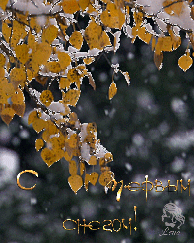 С первым снегом - осень, gif, открытки