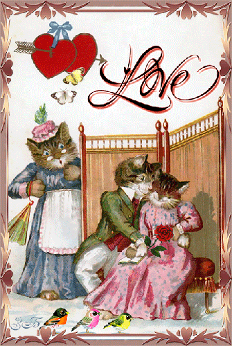 Влюбленные котики - любовь