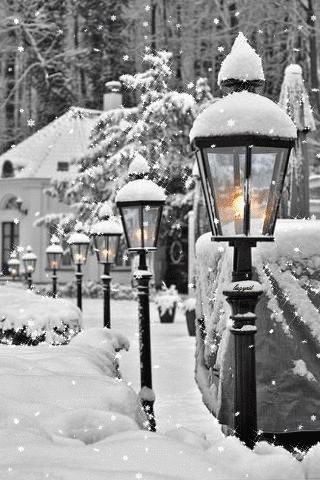 Красивая зима в картинках - зима