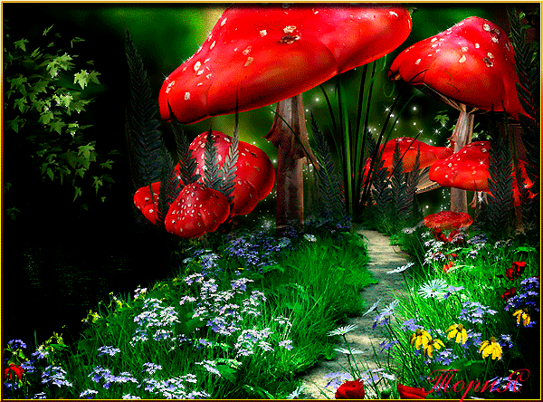 Сказочная картинка - Дорожка среди грибов - мультяшные, gif, открытки