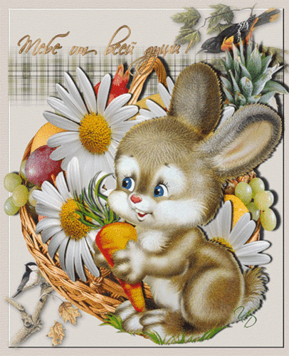 Картинка для детей заяц - мультяшные, gif, открытки