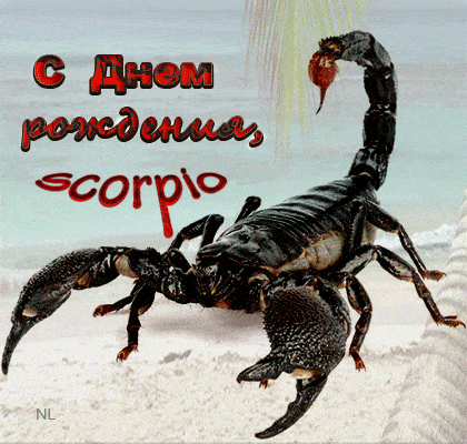 Поздравление скорпиона - с Днем Рождения, gif, открытки