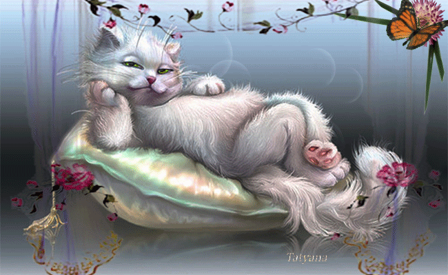 Пушистый кот на подушке - кошки