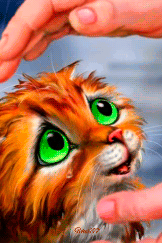 Анимашка плачущий котенок - кошки, gif, открытки