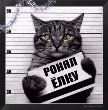 Кот преступник - кошки, gif, открытки