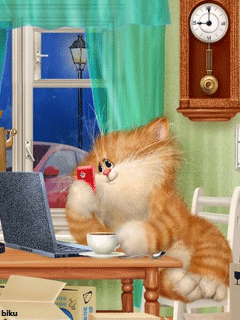 Кот пишет смс - кошки