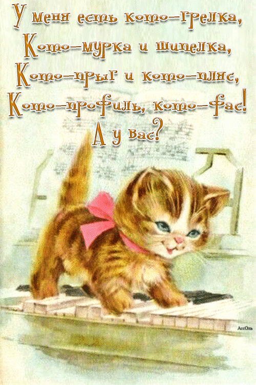 Шалунишка - кошки, gif, открытки