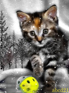 Полосатый котик - кошки, gif, открытки
