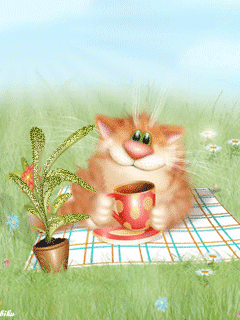 Кот на пикнике - кошки