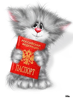 Кот с паспортом - кошки