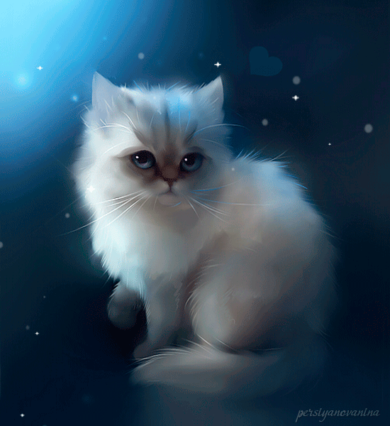 Белая кисуля - кошки, gif, открытки