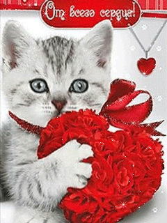 Картинка котенок с сердечком - кошки, gif, открытки
