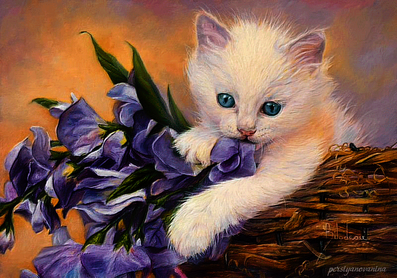 Белый котенок с голубыми глазами - кошки, gif, открытки