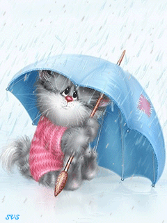 Кот под зонтом - кошки