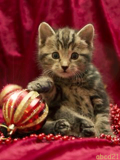 Котёнок с елочной игрушкой - кошки, gif, открытки