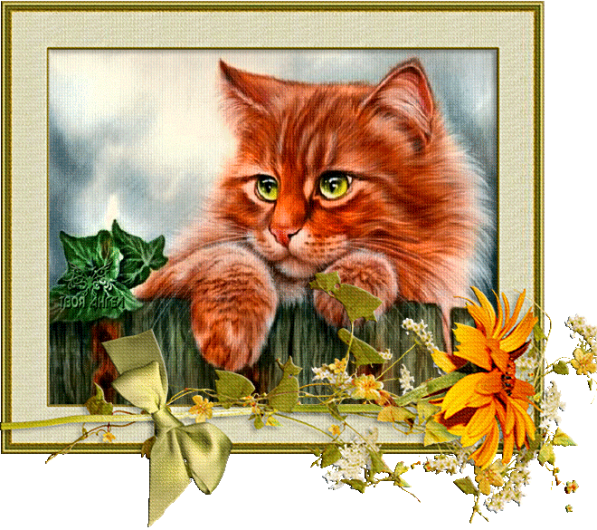 Кот на заборе - кошки, gif, открытки