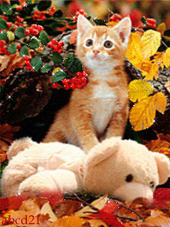 Котенок в осенних листьях - кошки, gif, открытки