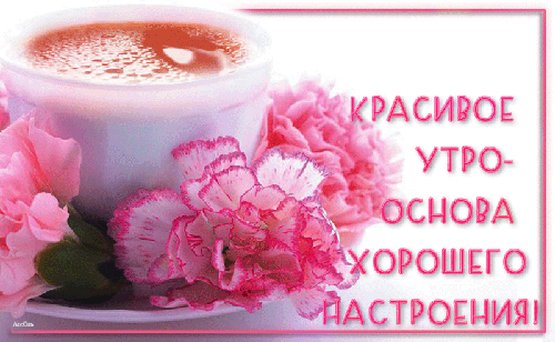 Красивое утро - основа хорошего настроения!