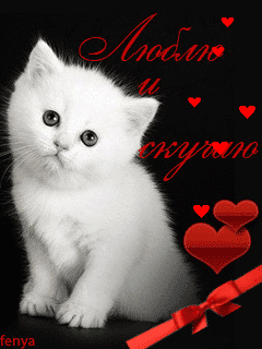Маленькая картинка с белым котенком Люблю и скучаю - скучаю, gif, открытки